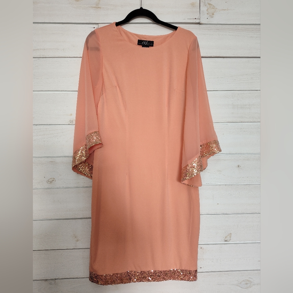 Midnight Velvet peach dress